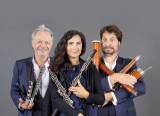 composite-trio-flute-hautbois-basson-1092586