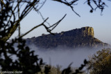 r-veil-photographique-sur-la-roche-de-solutr-philippe-dodet-1093205