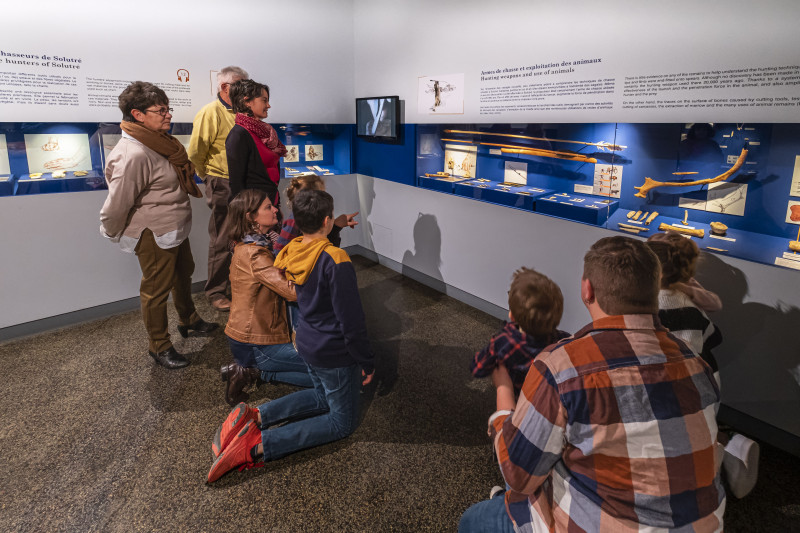 hemis-4232681-1094276 hemis-4232681-1094276