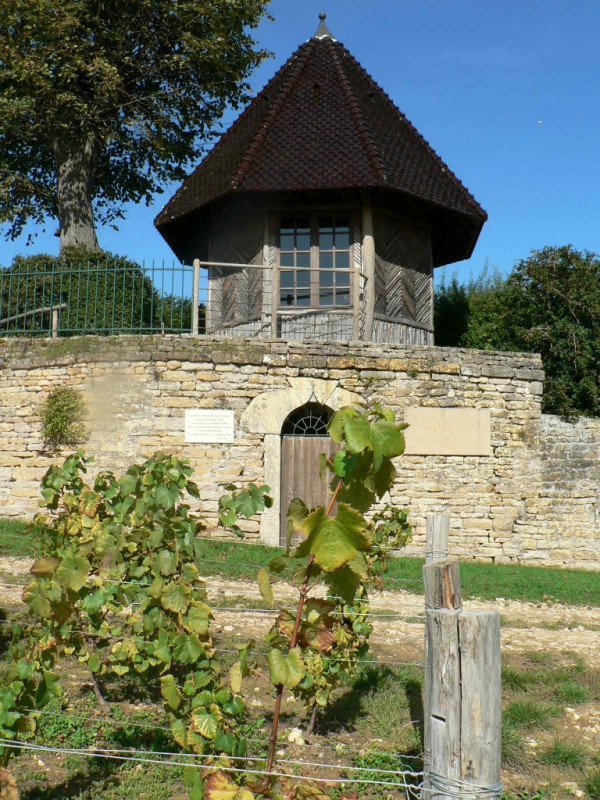la-d-couverte-du-site-lamartinien-ok-1092648